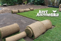 Gyepszőnyeg alá vakondháló (13)